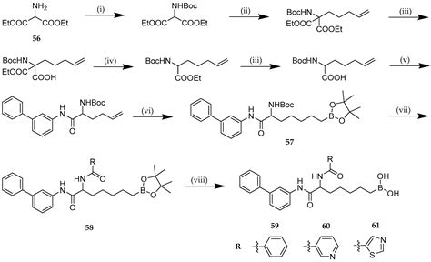 boronic|Boronic Acids and Their Derivatives in Medicinal。